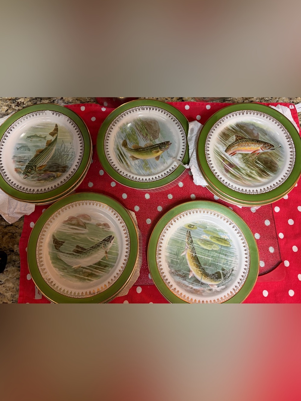 RARE COMPLETE SET OF 12 VINTAGE SYRACUSE CHINA AUSTRIAN DECOR FISH PLATES